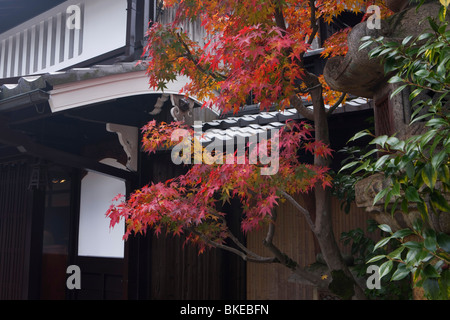 Arashiyama tinta di autunno