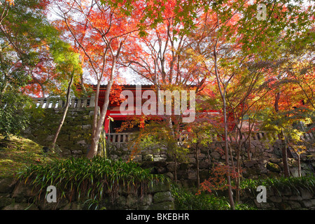 Kiyomizu-dera tempio del colore di autunno Foto Stock