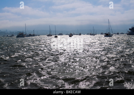 Molte barche bobbing nella distanza con sun vistosa sull'acqua sulla Baia di San Francisco in California Foto Stock