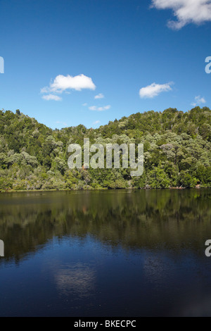 Forest riflessa nel fiume Gordon, Franklin-Gordon Wild Rivers National Park, Wilderness Area del Patrimonio Mondiale, Tasmania Foto Stock