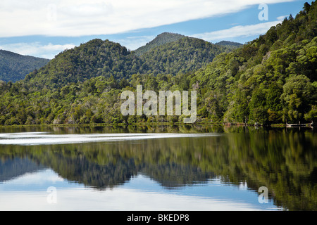 Forest riflessa nel fiume Gordon, Franklin-Gordon Wild Rivers National Park, Wilderness Area del Patrimonio Mondiale, Tasmania Foto Stock