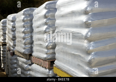 Sacchetti di sabbia bianca pallet di legno sacchi Foto Stock