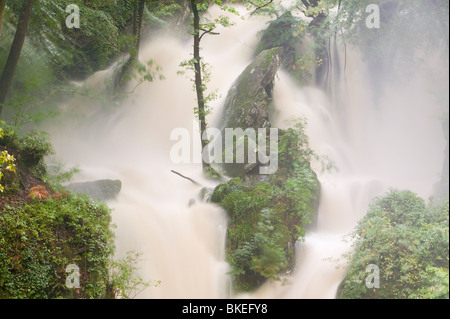 Magazzino ghyll vigore in piena alluvione in estate Ambleside Lake District UK Foto Stock