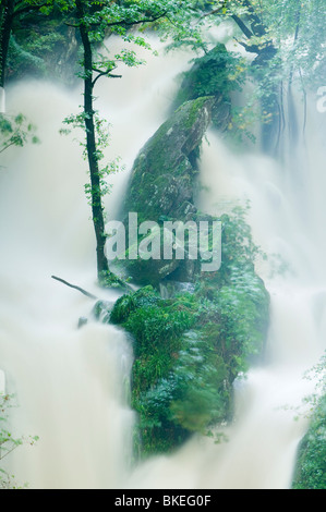 Magazzino ghyll vigore in piena alluvione in estate Ambleside Lake District UK Foto Stock