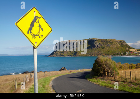 Penquin segno di avvertimento, e il dado con testa circolare, Stanley, Northwest Tasmania, Australia Foto Stock