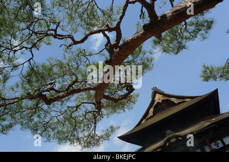 Buddista di Tempio Zenkoji, in Nagano, Giappone. Foto Stock