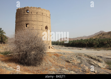 Tradizionale antica torre di avvistamento di wadi di vecchi Fanja, Hajar al Gharbi , il sultanato di Oman. Foto di Willy Matheisl Foto Stock