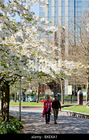 Primavera sbocciano i fiori in Hammersmith, W6, London, Regno Unito Foto Stock