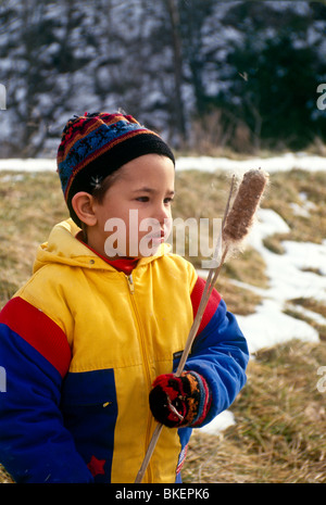 Afghan-American boy, 5 anni, meraviglie a tifa (Typha latifolia) e sua 'stuffing' semi in inverno, Missouri USA Foto Stock
