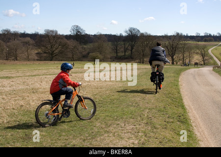 Knole Park, Kent, Inghilterra. Foto Stock