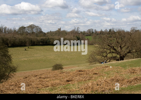 Knole Park, Kent, Inghilterra. Foto Stock