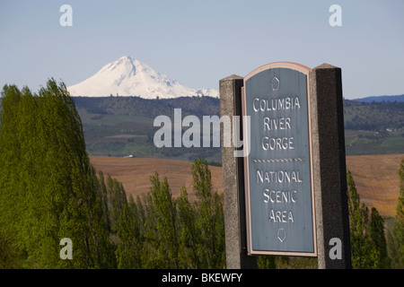 Montare il cofano e un segno per la Columbia River Gorge National Scenic Area, in dalles, Oregon Foto Stock