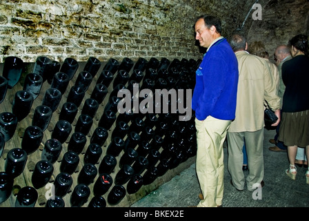 Reims, Francia, Champagne Company, Boizel Chanoine -Lanson, turisti che visitano il centro di lavorazione nel turismo delle caverne, uomo che cerca nella cantina del vino, deposito delle bottiglie di champagne france reims Foto Stock