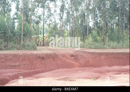 Hobicheka nelle nazioni del sud, nazionalità delle persone e la loro regione di Etiopia Foto Stock