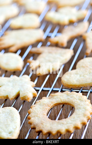 Raffreddamento per rack con freschi fatti in casa biscotti frollini Foto Stock