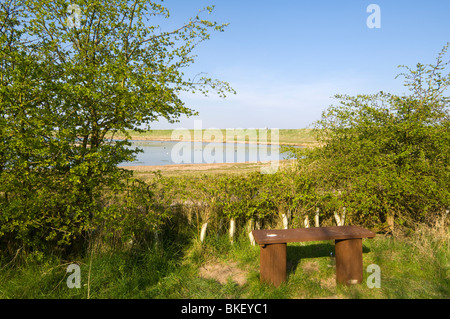 Freiston Shore RSPB Bird Reserve Lincolnshire UK selvatica Foto Stock