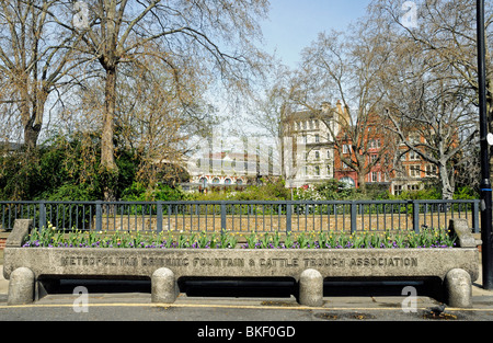 Metropolitan Fontanella & Bestiame Associazione trogolo, riempito di fiori, Smithfields, City of London, England Regno Unito Foto Stock