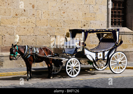 Carro trainato da cavalli in attesa per i turisti nel centro storico di Guadalajara, Jalisco, Messico Foto Stock