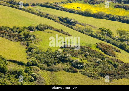 Confini del campo su antichi terreni agricoli al di sopra di Combe Martin in North Devon, Regno Unito Foto Stock