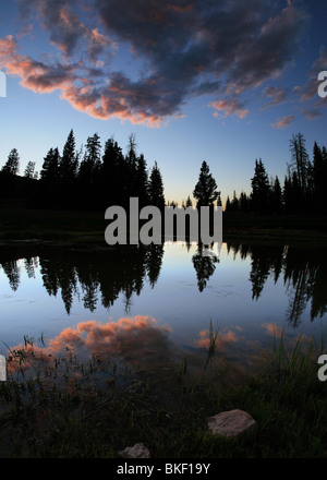 La riflessione di una nuvola al tramonto in un lago con alberi Foto Stock