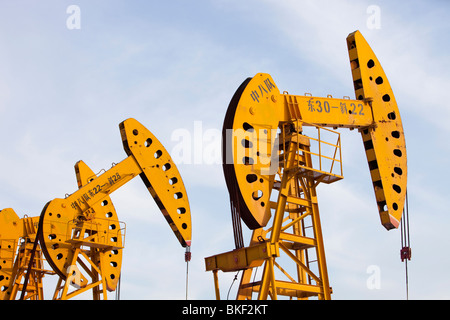 Annuendo asino pompe olio pompaggio di olio da Daqing campo petrolifero nel nord della Cina Foto Stock