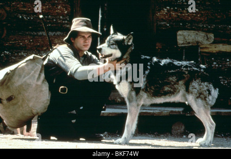 Zanna Bianca (1990) ETHAN HAWKE, JED WHF1 041 Foto Stock