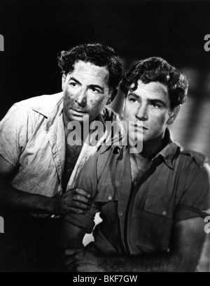 Il cavallo di legno (1950) Leo Genn, ANTHONY STEEL TWH1 002P Foto Stock