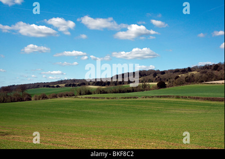 La North Downs vicino a Guildford nel Surrey Foto Stock