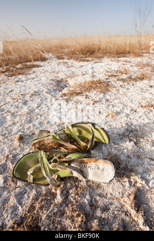 Un ex alveo del lago vicino a Dongsheng nel nord della Cina si è completamente asciugato fino a causa della continua presenza di gravi siccità. Foto Stock