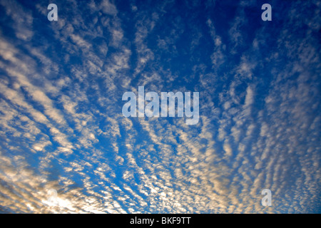 Altocumulus stratiformis strati di Nuvole Foto Stock