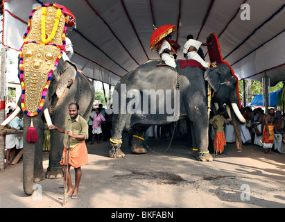 Un elefante caparisoned conduce la processione fuori da sotto una tettoia durante il festival a un tempio indù di Varkala Kerala Foto Stock