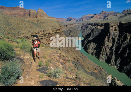 Con lo zaino in spalla su Tonto Trail in travertino area del Canyon, il Parco Nazionale del Grand Canyon, Arizona, Stati Uniti d'America Foto Stock