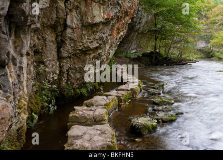 Pietre miliari sul fiume Wye a Chee Dale vicino a Bakewell nel Parco Nazionale di Peak District Derbyshire England Regno Unito Foto Stock