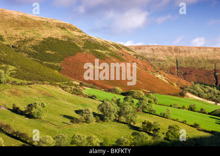 Vale of Ewyas e Offa's Dyke, Parco Nazionale di Brecon Beacons, Monmouthshire, Wales, Regno Unito. In autunno (ottobre) 2009 Foto Stock