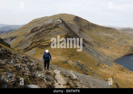 Una collina walker si arrampica Moelwyn Bach, con il vertice di Moelwyn Mawr e colmo di Craigysgafn in background. Snowdonia. Foto Stock