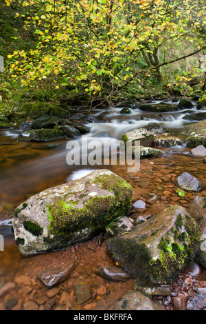 Autunno Scena di fiume sul fiume Caerfanell a Blaen-y-glyn, Parco Nazionale di Brecon Beacons, Powys, Wales, Regno Unito. Foto Stock