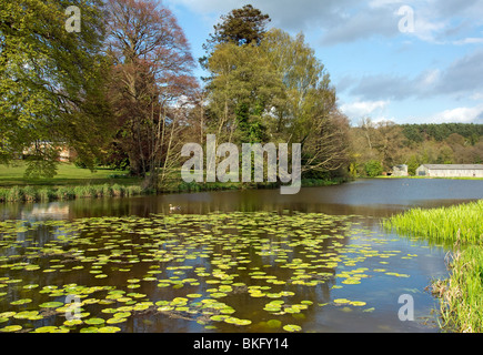 Il ponte tra Abbazia di Waverley House e Abbazia di Waverley vicino a Farnham in Surrey Foto Stock