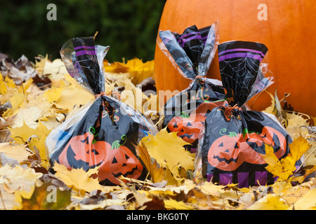 Le sacche di caramelle di Halloween piene di caramelle Trick or Treat immagini foto grandi ad alta risoluzione Autunno Autunno Autunno stagione orizzontale negli Stati Uniti ad alta risoluzione Foto Stock