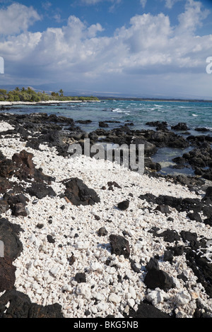 Corallo e il fianco di lava Anaeho'omalu Bay nelle Hawaii. Foto Stock