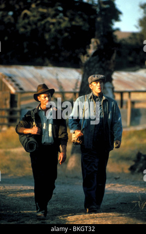 Uomini e topi (1992) Gary Sinise, John Malkovich MAM 052 Foto Stock