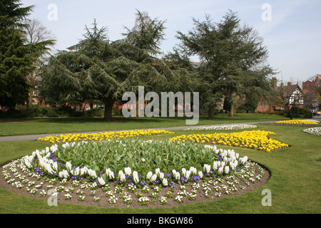 Letti di fiori in Grosvenor Park, Chester, Regno Unito Foto Stock