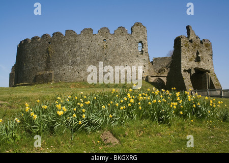 Inghilterra Cornovaglia Lostwithiel Restormel castle Foto Stock