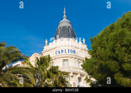 Cannes , La Croisette , vista di dettaglio del Carlton Hotel Inter Continental attraverso gli alberi & palme Foto Stock