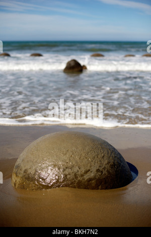 I massi Moeraki vicino a Oamaru sull'Isola del Sud della Nuova Zelanda Foto Stock