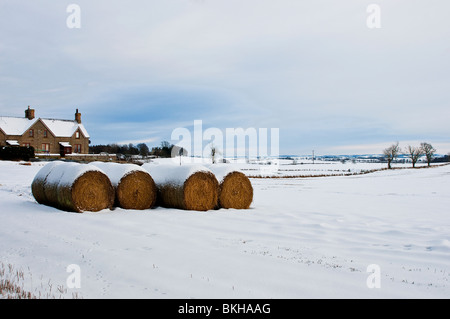 Paesaggio invernale- Scottish Borders vicolo del paese vicino a Melrose, cottage ricoperti di neve. Foto Stock