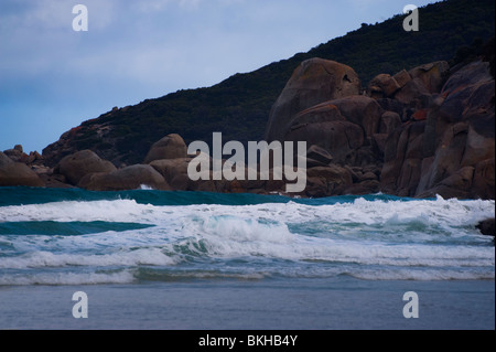 Spiaggia stridulo. Victoria. Australia. Foto Stock