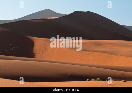 Forte sole di mattina getta ombre om daddy grande duna a Sossusvlei una delle dune più alte del mondo, Namibia Foto Stock