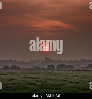 Mistige zonsopkomst in de polder; foggy sunrise nel polder Foto Stock