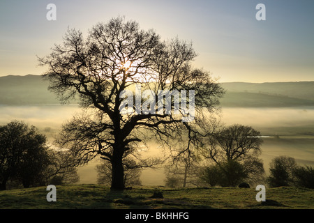 Alba vicino a Cononley nelle vicinanze Skipton, e l'Aire Valley in North Yorkshire, Inghilterra, Regno Unito Foto Stock