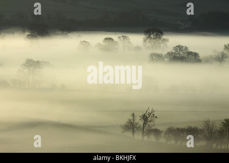 Alba vicino a Cononley nelle vicinanze Skipton, e l'Aire Valley in North Yorkshire, Inghilterra, Regno Unito Foto Stock